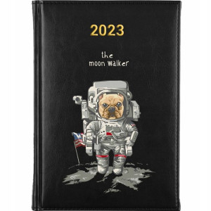 KALENDARZ Ksiązkowy A5 2023 TEDDY BEAR MiX Wzory
