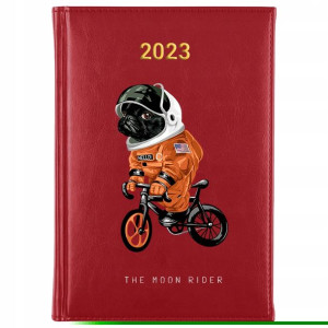 KALENDARZ Ksiązkowy A5 2023 TEDDY BEAR MiX Wzory