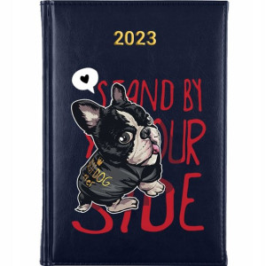 KALENDARZ Planer A5 2023 TEDDY BEAR Wiele Wzorów