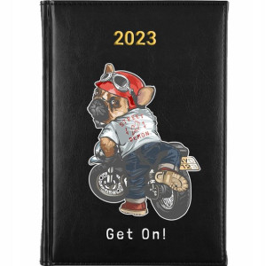 KALENDARZ Terminarz A5 2023 TEDDY BEAR MiX Wzory