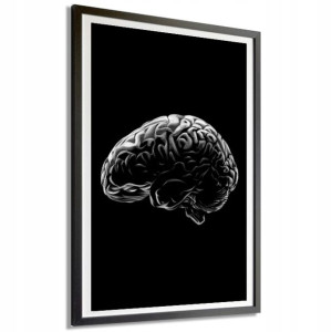 OBRAZ DEKORACYJNY 40x60 cm MÓZG B&W Różne Wzory