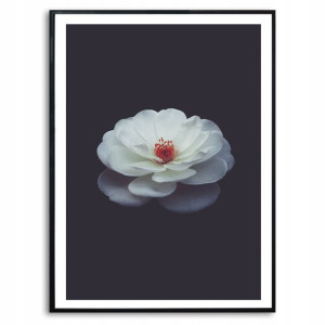 Obraz Dekoracyjny 42x29,7cm Magnolia Kwiat Wzory