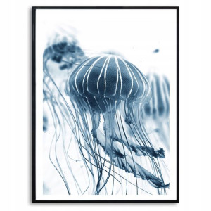 Obraz Dekoracyjny 42x29,7cm Meduza Białe Tło Wzory