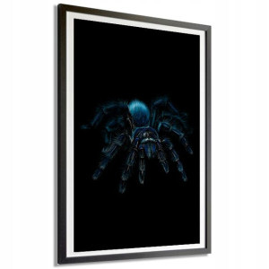 Obraz Dekoracyjny 50x70cm Pająk Spider Mix Wzory