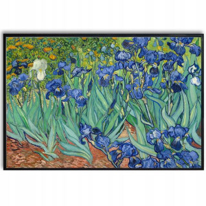 PLAKAT 91x61cm Obraz Irysy Van Gogh Dużo Wzorów