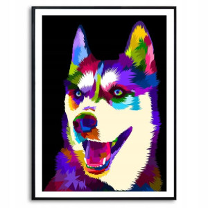 PLAKAT A3 Dekoracyjny HUSKY POP ART KOLOR Wzory
