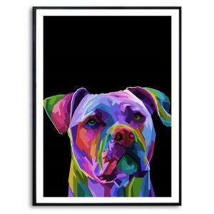 PLAKAT A3 Dekoracyjny PITBULL GEOMETRYCZNE Wzory