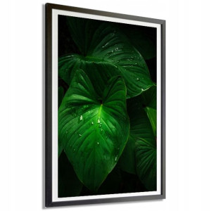 Plakat Dekor A4 21x29,7cm Dark Monstera Wzory