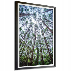 PLAKAT DEKOR A4 21x29,7cm Duży KORONY DRZEW Wzory