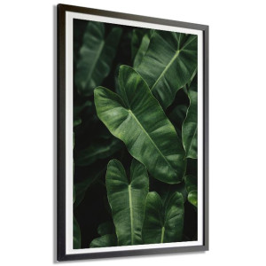 Plakat Dekor A4 21x29,7cm Roślinność Tropic Wzory
