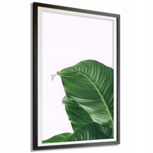 Plakat Dekoracyjny 21x29,7cm Botanika Liście Wzory