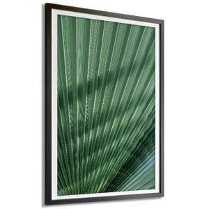 Plakat Dekoracyjny 21x29,7cm Zielona Natura Wzory