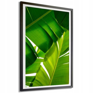 PLAKAT DEKORACYJNY 30x40cm Duży NATURE LEAF Wzory
