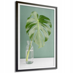 Plakat Dekoracyjny 50x70cm Monstera Woda Wzory