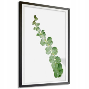 Plakat Dekoracyjny 50x70cm Natura Rośliny Wzory
