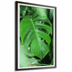 Plakat Dekoracyjny 50x70cm Zielone Liście Wzory