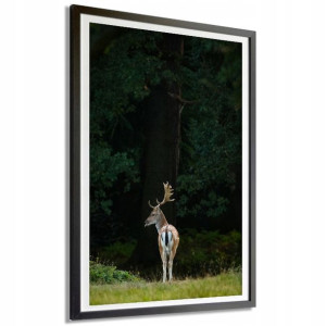 Plakat Dekoracyjny 91x61cm Daniel Jeleń Las Wzory