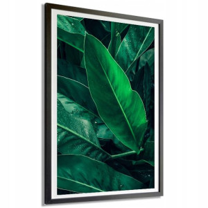 Plakat Dekoracyjny 91x61cm Tropikalne Liście Wzory