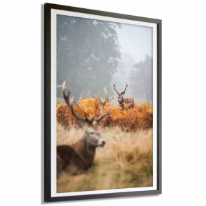 Plakat Dekoracyjny 91x61cm Zwierzęta Rośliny Wzory
