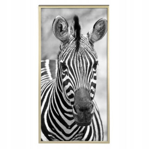 PLAKAT DUŻY 60x120cm MODERN OBRAZY Animals Wzory