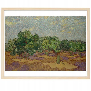 PLAKAT OBRAZ 30x40 cm Van Gogh Drzewa Oliwne Wzory