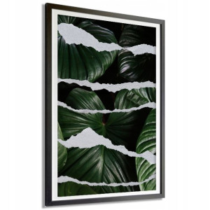 Plakat Obraz 91x61cm Liście Rozerwane Mix Wzory