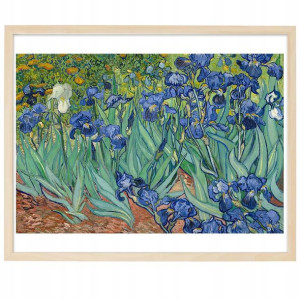 PLAKAT OBRAZ Dekor 21x29,7 cm Van Gogh IRYSY Wzory