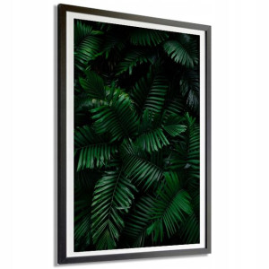 Plakat Obraz Dekor 40x60cm Liście Natura Mix Wzory
