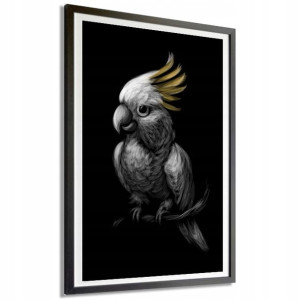 Plakat Obraz Dekor 40x60cm Papuga Kakadu Mix Wzory