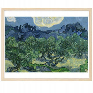 PLAKAT OBRAZ Dekor 50x70 cm Drzewa Oliwne Wzory