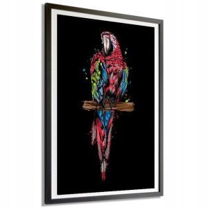Plakat Obraz Dekor 91x61cm Papuga Ara Mix Wzory