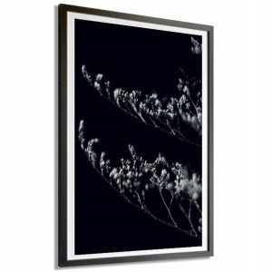Plakat Obraz Duży 140x100 B&w Nature Top Wzory