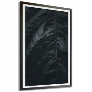 Plakat Obraz Duży 140x100 Natura B&w Top Wzory