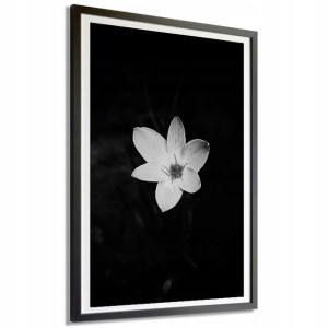Plakat Obraz Duży 140x100 Nature B&w Top Wzory