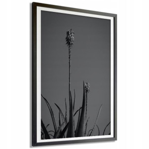 Plakat Obraz Duży 140x100cm B&w Rośliny Wzory