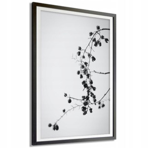 Plakat Obraz Duży 140x100cm Flora B&w Wzory