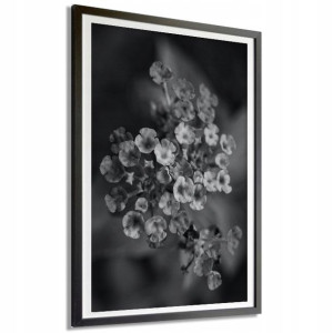 Plakat Obraz Duży 140x100cm Kwiaty B&w Wzory
