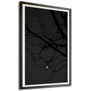 PLAKAT OBRAZ DUŻY 140x100cm NIGHT MOON Top Wzory