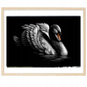 PLAKAT Poziomy Obraz Dekor 50x70cm Łabądź Wzory