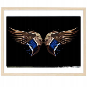 PLAKAT Poziomy Obraz Dekor 91x61cm Skrzydła Wzory