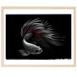 PLAKAT Poziomy Obraz 21x29,7cm RYBA Bojownik Wzory