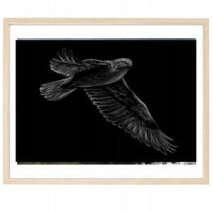PLAKAT Poziomy Obraz 30x40 cm Orzeł Birds Wzory
