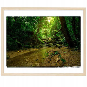 PLAKAT Poziomy Obraz 40x60 cm Las Natura Wzory