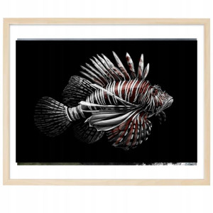 PLAKAT Poziomy Obraz 40x60 cm RYBA Ognica Wzory