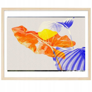PLAKAT Poziomy Obraz 50x70cm Kolorowe Natura Wzory