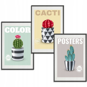 ZESTAW 3 PLAKATY Obraz do Salonu 30x40cm CACTUS