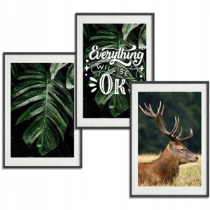 Zestaw 3 PLAKATY Obrazy 21x29,7 BOTANICAL Nature