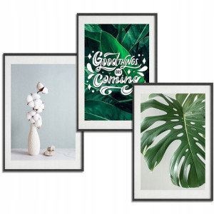 Zestaw 3 PLAKATY Obrazy 21x29,7 BOTANICAL Nature