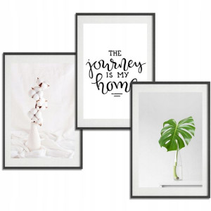 Zestaw 3 PLAKATY Obrazy 40x60 BOTANICAL Nature