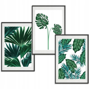 Zestaw 3 PLAKATY Obrazy 50x70 BOTANICAL Nature